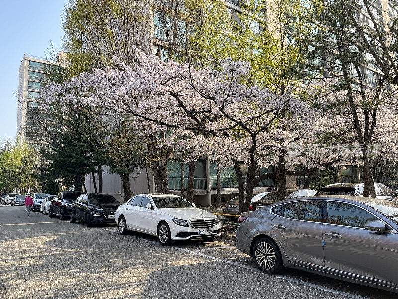 April in Seoul首尔